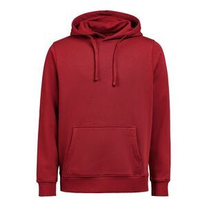 Untagged Movement Unisex Adult Regular Hoodie / Brick